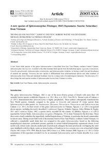 Lygosoma / Saiphos / Lipinia / Scincella / Sphenomorphus maculatus / Asymblepharus tragbulense / Skinks / Lygosominae / Sphenomorphus