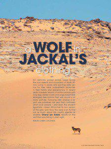 a WOLF in  JACKAL’S