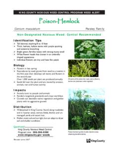 KING COUNTY NOXIOUS WEED CONTROL PROGRAM WEED ALERT  Poison-Hemlock Conium maculatum  Parsley Family