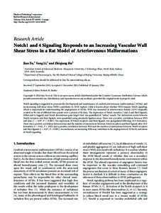 Notch1 and 4 Signaling Responds to an Increasing Vascular Wall Shear Stress in a Rat Model of Arteriovenous Malformations