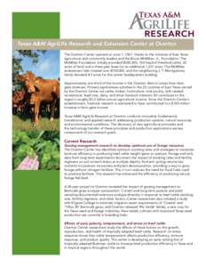 Texas / Texas A&M AgriLife / Forage / Ryegrass / Grazing / Overton /  Texas / Cattle / Legume / Texas AgriLife Research / Texas A&M University System / Livestock / Agriculture