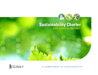 Sustainability Charter 2012 Annual report PMS 431 PMS 429