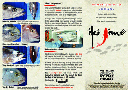 Fisheries / Animal killing / Ike jime / Carangoides / Hawaiian cuisine / Giant trevally / Bludger / Mahi-mahi / Wahoo / Fish / Perciformes / Ichthyology