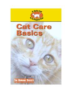 Cat Care Basics COVER[removed]:29 PM