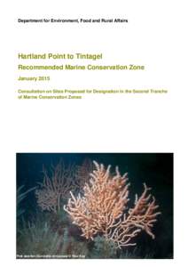 Department for Environment, Food and Rural Affairs  Hartland Point to Tintagel Recommended Marine Conservation Zone January 2015 Consultation on Sites Proposed for Designation in the Second Tranche
