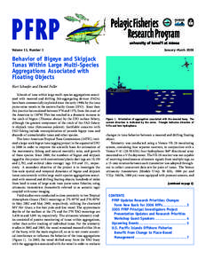 Fish aggregating device / Yellowfin tuna / Tuna / Longline fishing / Pelagic fish / Skipjack tuna / National Marine Fisheries Service / Fish migration / Fisheries observer / Fish / Scombridae / Bigeye tuna