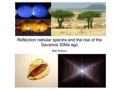 Reflection nebular spectra and the rise of the Savanna 30Ma ago Bob Fosbury Most likely PAH identifications are with