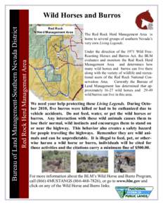 Land management / Donkeys / Burro / Bureau of Land Management / Mustang horse / Horse / Red Rock Canyon National Conservation Area / Pryor Mountains Wild Horse Range / Wild and Free-Roaming Horses and Burros Act / Equidae / Feral horses / Equus