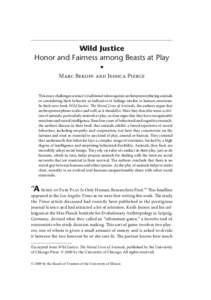 American Journal of Play | Vol. 1 No. 4 | ARTICLE: Wild Justice: Honor and Fairness among Beasts at Play.