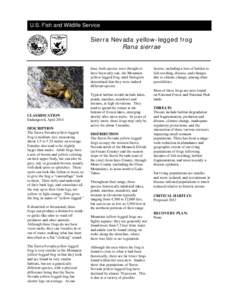 Spe U.S. Fish and Wildlife Service Sierra Nevada yellow-legged frog Rana sierrae