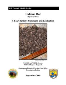 Conservation in the United States / Indiana bat / Endangered Species Act / Distinct population segment / Hellhole / White nose syndrome / Endangered species / Wyandotte Caves / Bat / Biology / Conservation / Environment