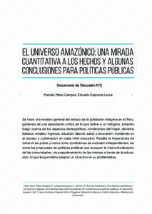 el universo amazónico: una mirada  cuantitativa a los hechos y algunas conclusiones para políticas públicas Documento de Discusión N°5 Pamela Pérez Campos, Eduardo Espinoza Lecca