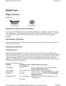file://C:�tpub�root�PMSearch�s�gyCutworm-FieldCo