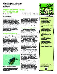 Hemiptera / Galls / Agricultural pest insects / Insecticides / Pest control / Miridae / Imidacloprid / Spider mite / Insecticidal soap / Agriculture / Phyla / Protostome