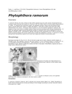 Parke, J. L. and Rizzo, D. M[removed]Phytophthora ramorum. Forest Phytophthoras 1(1): doi: [removed]osu/fp[removed]Phytophthora ramorum Overview P. ramorum Werres, De Cock, & Man in’t Veld[removed]appears to be an exotic