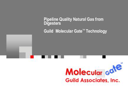 Pipeline Quality Natural Gas from Digesters Guild Molecular Gate Technology Molecular