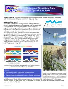 Bio-Inspired Simulations Study Flight Dynamics for MAVs Project Purpose: Use High Performance computing resources to simulate the physics associated with the structure and flapping motion of a dragonfly wing. Designing f