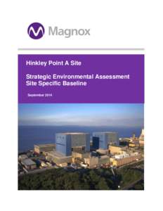 Hinkley Point A Site Strategic Environmental Assessment Site Specific Baseline September 2014  Site Specific Baseline – September 2014