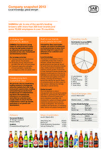 Company snapshot 2013 Local knowledge, global strength