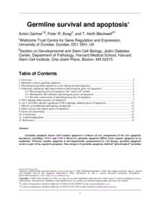 Germline survival and apoptosis* Anton Gartner1§, Peter R. Boag2, and T. Keith Blackwell2† 1 Wellcome Trust Centre for Gene Regulation and Expression, University of Dundee, Dundee, DD1 5EH, UK