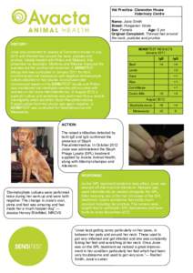 Vet Practice: Clarendon House Veterinary Centre Name: Josie Smith Breed: Hungarian Vizsla Sex: Female Age: 5 yrs