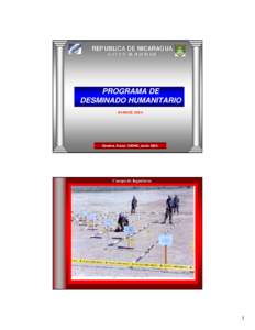 REPUBLICA DE NICARAGUA EJERCITO DE NICARAGUA PROGRAMA DE DESMINADO HUMANITARIO AVANCE 2004