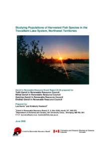 Microsoft Word - Travaillant Lake Fish Study Report to RRC 2005.doc