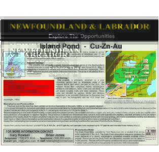 NEWFOUNDLAND & LABRADOR Explore The Opportunities The Island Pond Copper-Zinc-Gold Property consists of 74 claims located in central Newfoundland approximately 6 km south of the community of Millertown and 17 km southeas