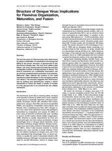 Cell, Vol. 108, 717–725, March 8, 2002, Copyright 2002 by Cell Press  Structure of Dengue Virus: Implications for Flavivirus Organization, Maturation, and Fusion Richard J. Kuhn,1,3 Wei Zhang,1