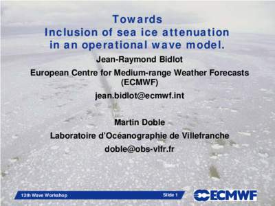 Inclusion of Sea Ice effects in WAM