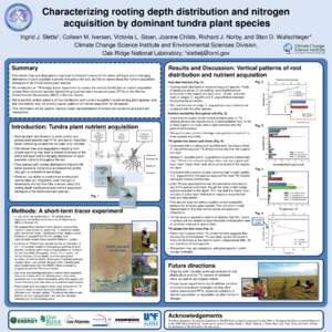 Characterizing rooting depth distribution and nitrogen acquisition by dominant tundra plant species Colleen M. Iversen, Victoria L. Sloan, Joanne Childs, Richard J. Norby, and Stan D. Wullschleger* Climate Change Science