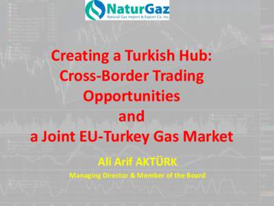 Creating a Turkish Hub: Cross-Border Trading Opportunities and a Joint EU-Turkey Gas Market Ali Arif AKTÜRK