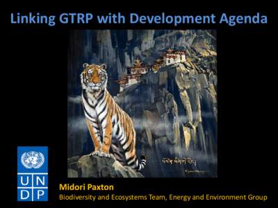 Linking GTRP with Development Agenda  Midori Paxton Biodiversity and Ecosystems Team, Energy and Environment Group