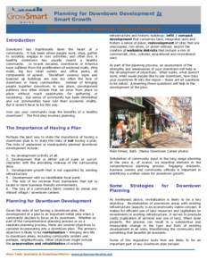 Microsoft Word - Downtown Business Brief -Final with mainephotos.doc