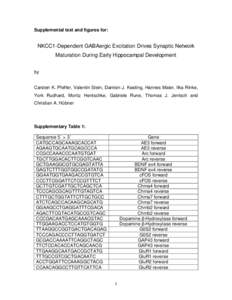 Supplemental text and figures for:  NKCC1-Dependent GABAergic Excitation Drives Synaptic Network Maturation During Early Hippocampal Development by