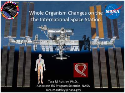 Whole Organism Changes on the the International Space Station Tara M Ruttley, Ph.D., Associate ISS Program Scientist, NASA [removed]