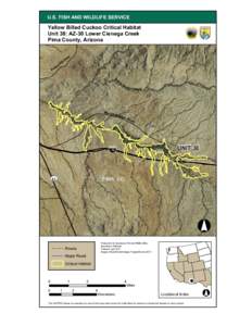 U.S. FISH AND WILDLIFE SERVICE  Yellow Billed Cuckoo Critical Habitat Unit 38: AZ-30 Lower Cienega Creek Pima County, Arizona