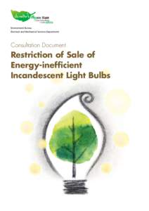 Lighting / Incandescent light bulbs / Light sources / Thomas Edison / Halogen lamp / Fluorescent lamp / Compact fluorescent lamp / Light fixture / Light-emitting diode / Light / Gas discharge lamps / Technology