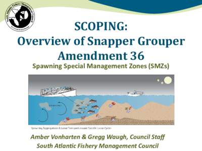 SCOPING: Overview of Snapper Grouper Amendment 36 Spawning Special Management Zones (SMZs)  Amber Vonharten & Gregg Waugh, Council Staff