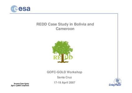 REDD Case Study in Bolivia and Cameroon GOFC-GOLD Workshop Santa CruzApril 2007