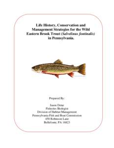 Life History, Conservation and Management Strategies for the Wild Eastern Brook Trout (Salvelinus fontinalis) in Pennsylvania.  Prepared By: