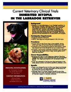 Current Veterinary Clinical Trials  INHERITED MYOPIA IN THE LABRADOR RETRIEVER ■■