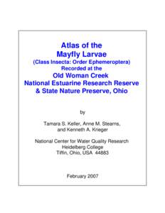 Atlas of the Mayfly Larvae (Class Insecta: Order Ephemeroptera) Recorded at the  Old Woman Creek