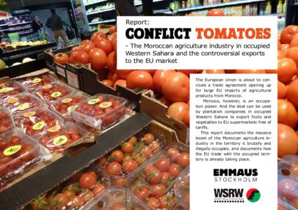 Report:  Conflict tomatoes - The Moroccan agriculture industry in occupied Western Sahara and the controversial exports to the EU market