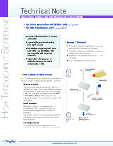 Transfection protocols for high throughput screening (HTS) • For siRNA transfection: INTERFERin™-HTS (see page 24-25) • For DNA transfection: jetPEI™ (see page 26-27) • Fast and efficient methods to transfect c