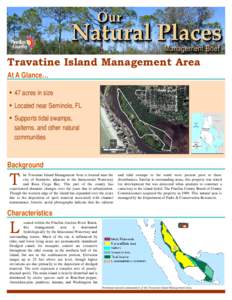 Florida / Pinellas County /  Florida / Geography of Florida / Glasswort