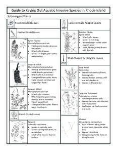 Guide to Keying Out Aquatic Invasive Species in Rhode Island  Submergent Plants  Finely‐Divided Leaves  Feather‐Divided Leaves 