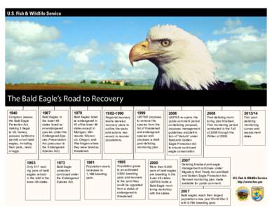.  U.S. Fish & Wildlife Service The Bald Eagle’s Road to Recovery 1940