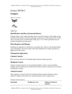 Microsoft Word - Loopers-Lettuce.doc