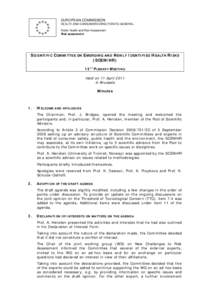 European Food Safety Authority / Nanomaterials / Europe / Scientific Committee on Emerging and Newly Identified Health Risks / Scientific Committee on Health and Environmental Risks / Directorate-General for Health and Consumers